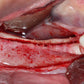 Predictable Implantology 2: Working with Biology