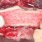 Predictable Implantology 2: Working with Biology